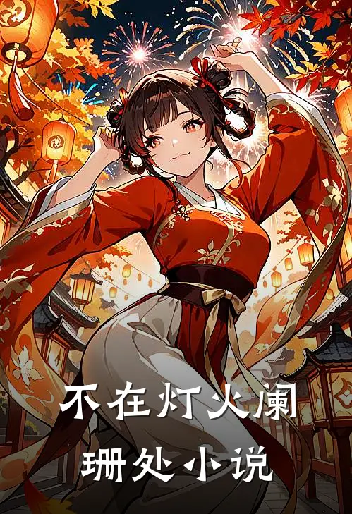 不在灯火阑珊处小说