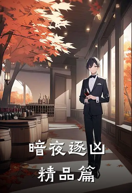 暗夜逐凶精品篇