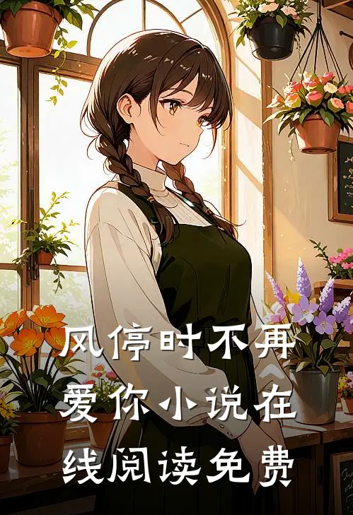风停时不再爱你小说在线阅读免费