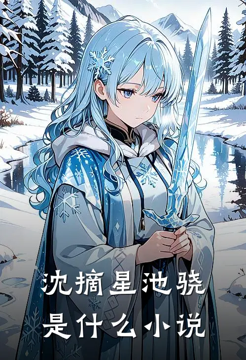 沈摘星池骁是什么小说