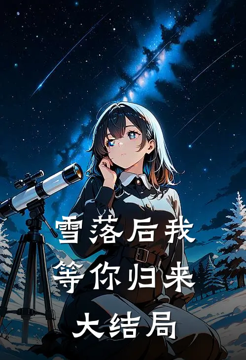 雪落后我等你归来大结局