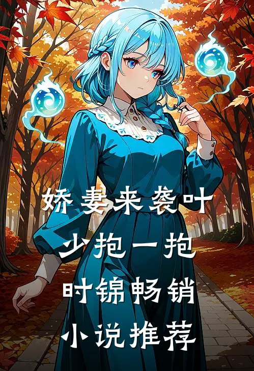 娇妻来袭叶少抱一抱时锦畅销小说推荐