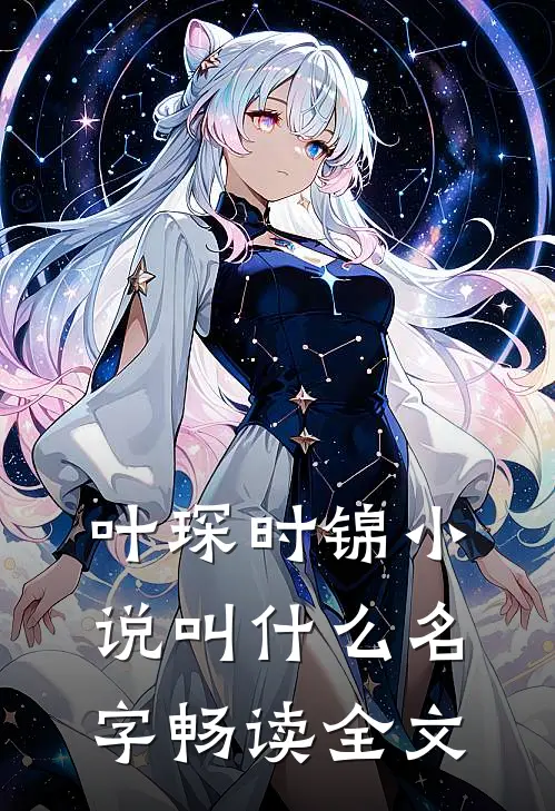 叶琛时锦小说叫什么名字畅读全文