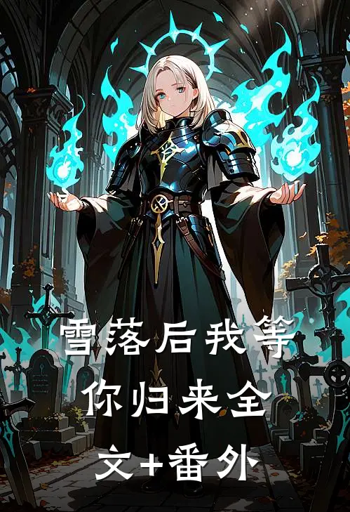 雪落后我等你归来全文+番外
