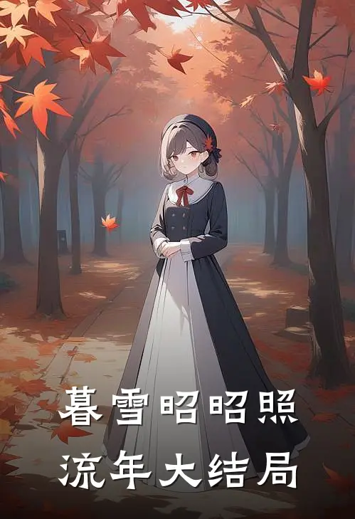 暮雪昭昭照流年大结局