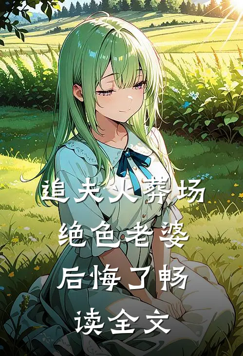 追夫火葬场，绝色老婆后悔了畅读全文