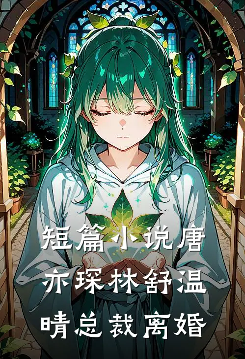 短篇小说唐亦琛林舒温晴总裁离婚