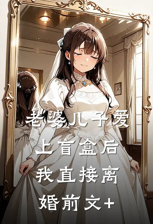 老婆儿子爱上盲盒后，我直接离婚前文+