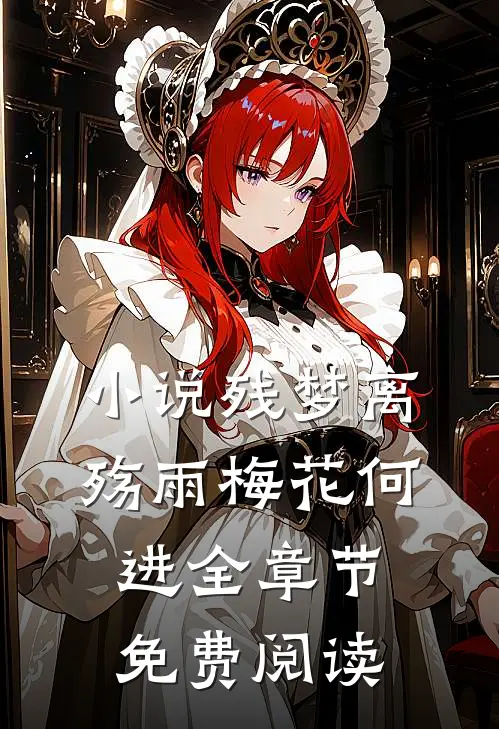 小说残梦离殇雨梅花何进全章节免费阅读
