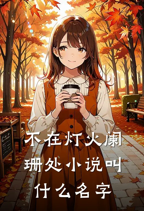 不在灯火阑珊处小说叫什么名字