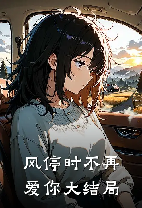 风停时不再爱你大结局