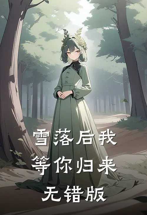 雪落后我等你归来无错版
