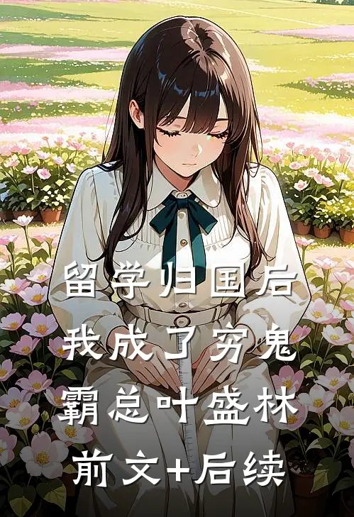 留学归国后，我成了穷鬼霸总叶盛林前文+后续