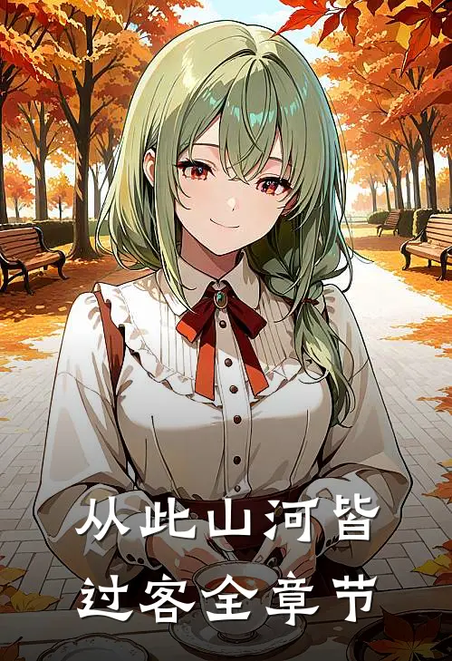从此山河皆过客全章节