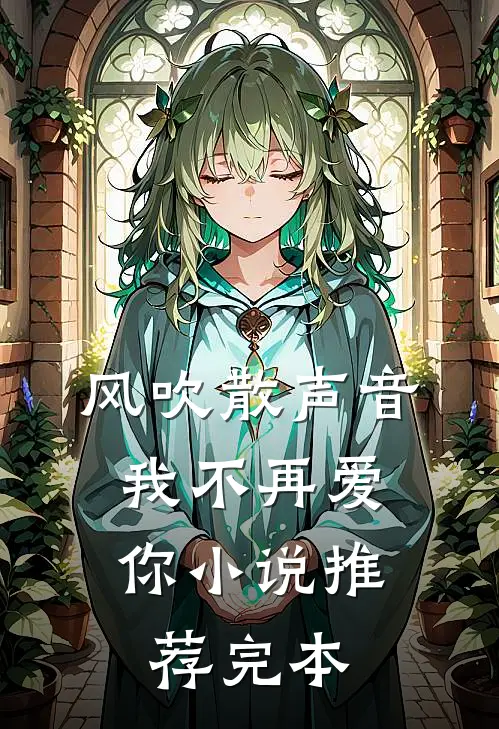 风吹散声音，我不再爱你小说推荐完本