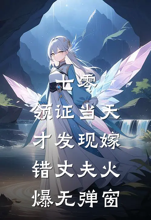 七零，领证当天才发现嫁错丈夫火爆无弹窗