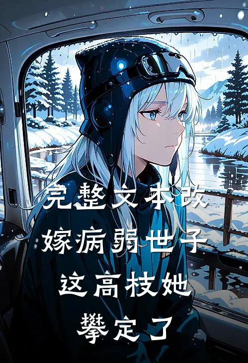 完整文本改嫁病弱世子，这高枝她攀定了
