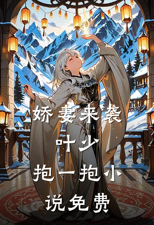 娇妻来袭：叶少，抱一抱小说免费
