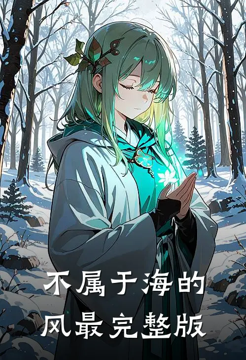 不属于海的风最完整版