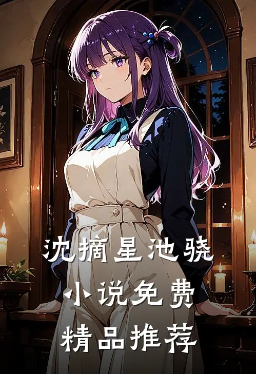 沈摘星池骁小说免费精品推荐
