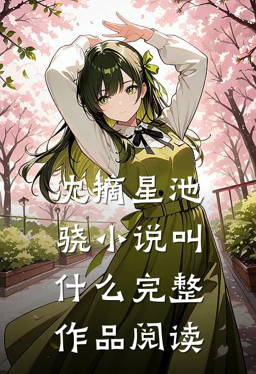 沈摘星池骁小说叫什么完整作品阅读