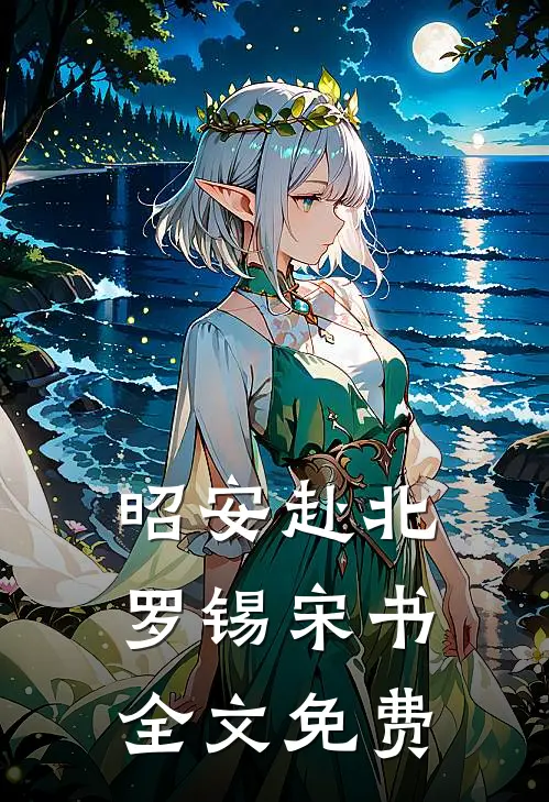 昭安赴北罗锡宋书全文免费