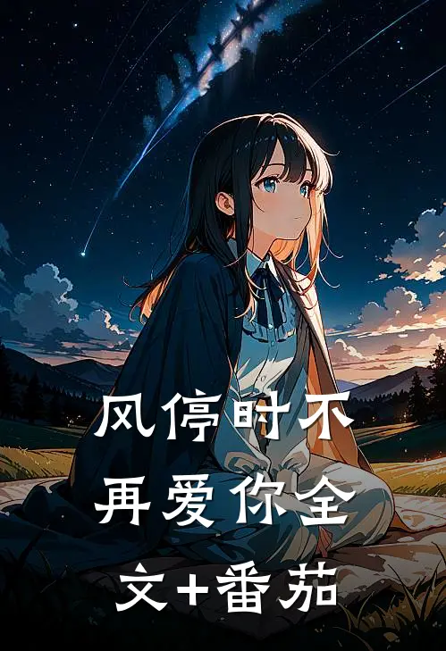 风停时不再爱你全文+番茄