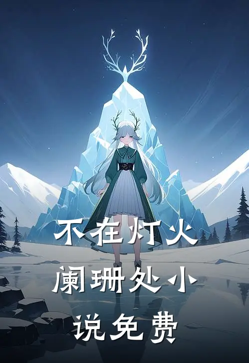 不在灯火阑珊处小说免费