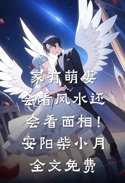 家有萌妻：会看风水还会看面相！安阳柴小月全文免费