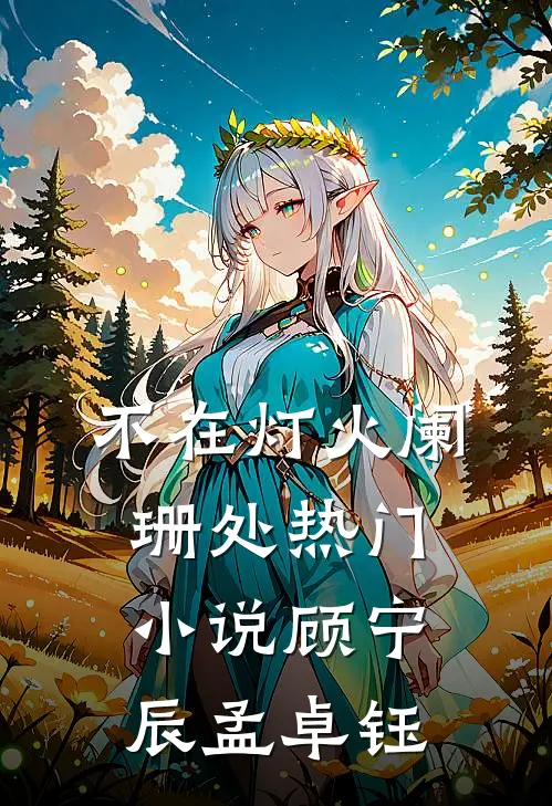 不在灯火阑珊处热门小说顾宁辰孟卓钰