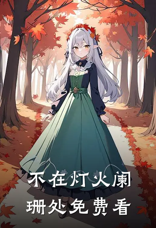 不在灯火阑珊处免费看