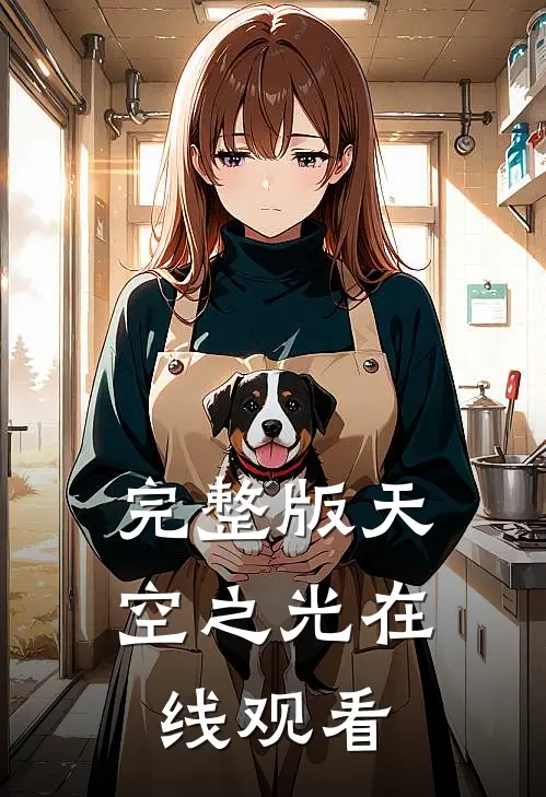 完整版天空之光在线观看