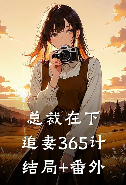 总裁在下：追妻365计结局+番外
